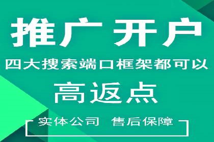 SEM竞价优化案例：品牌曝光与转化双提升